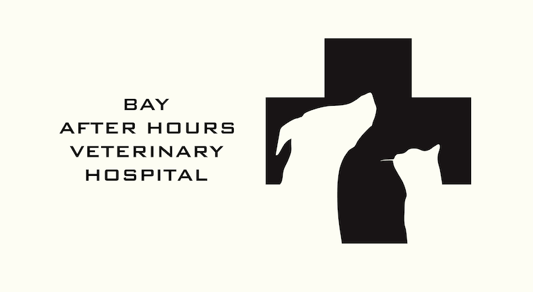 After hours emergency vet clinic best sale near me